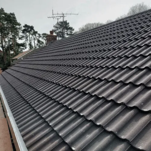 Recent roof project